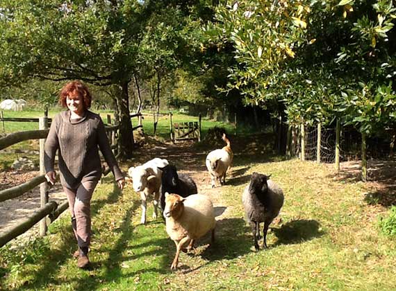 Elevage de moutons bio Vendée - Myriam Noirot et ses moutons de races Solognote, Gothland, Mérinos et Shropshire